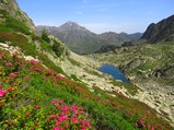derni_re_sortie_-_041.jpg